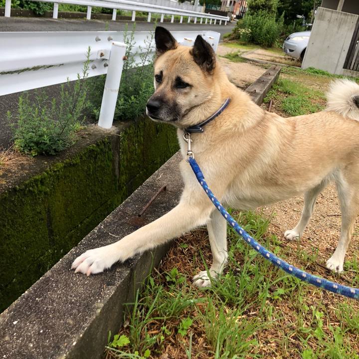 C7d7156d 2d79 4917 b344 e84f8dcc28eb 1591964180218