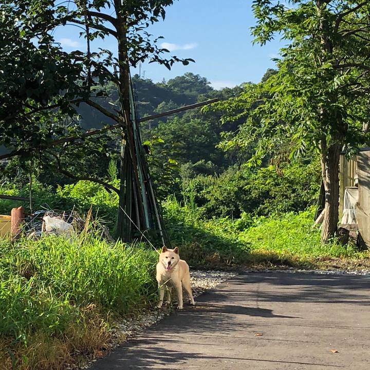 C7d735b7 64f4 4ad2 a977 c0953790cafa 1564667804891