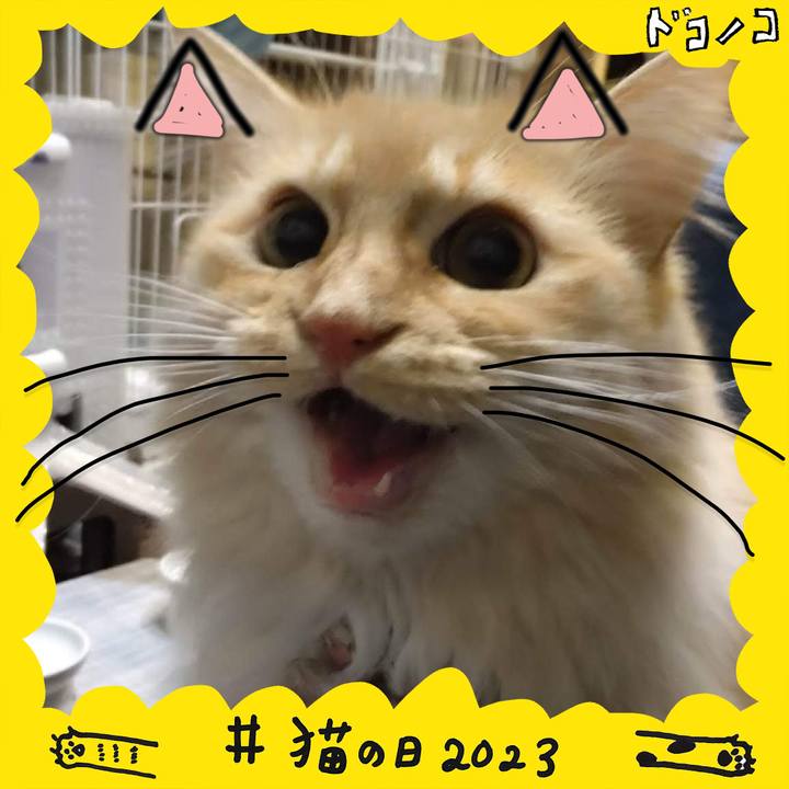 C7d75273 a799 4ddf a2ca ed1fc58c2358 1677014983326