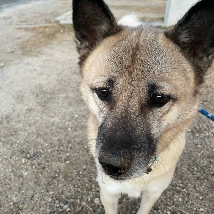 C7d764d9 19ce 4a8c 8e35 187dd2355f86 1642421253251