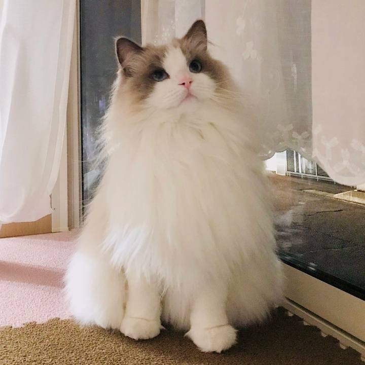 C7d79a4e c9f1 47ed b583 99237dfb4754 1613480473598