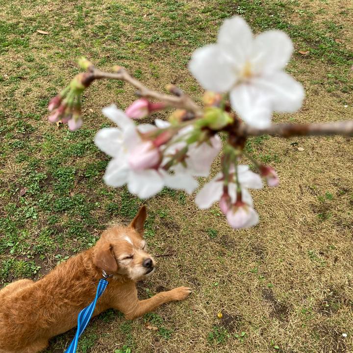 C7d7a299 fae3 442e 837b 888e6424c417 1616314942524