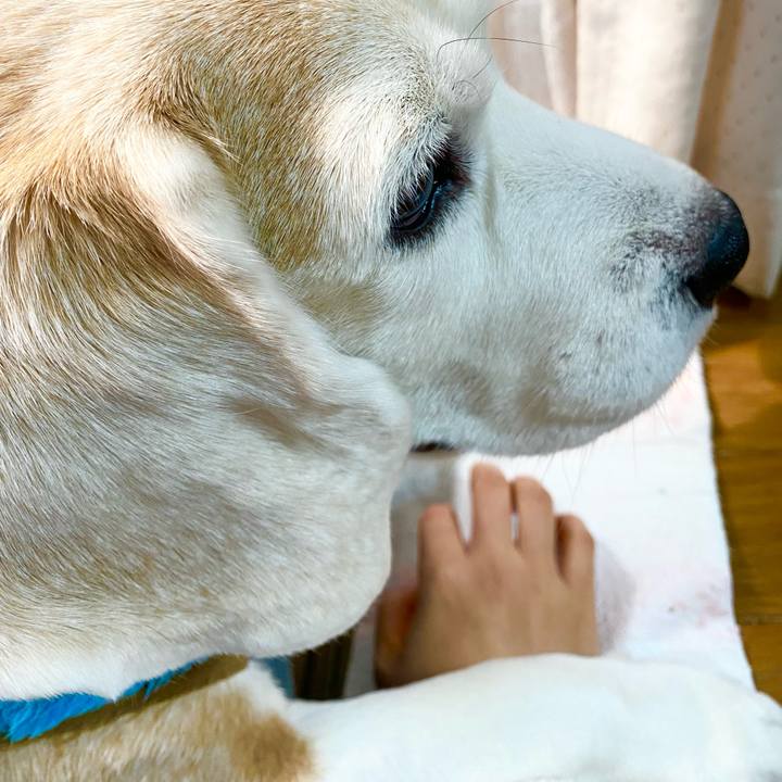 C7d7cbdc 5fd3 4ce0 9698 f40e0f652c2e 1646883687238