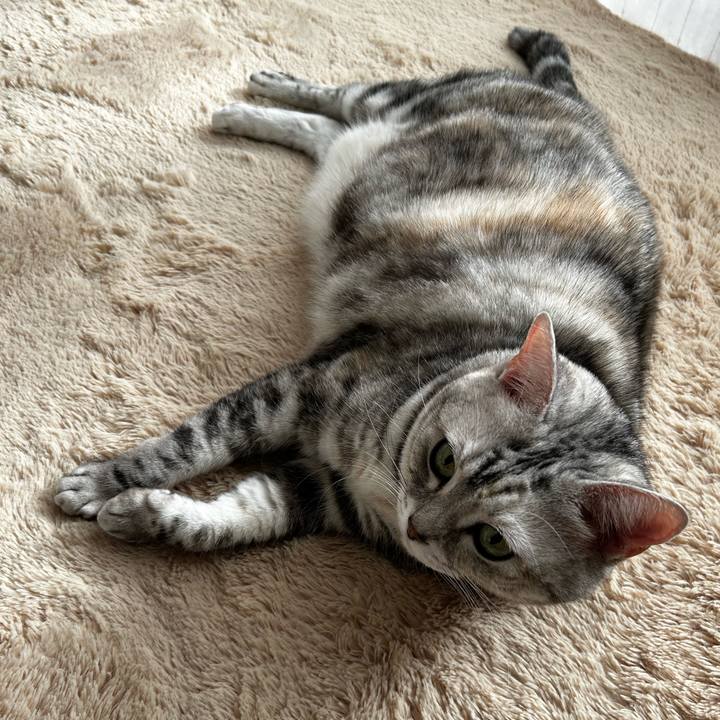 C7d7d058 8efa 4050 83fb e5d3d79ac678 1765495125672