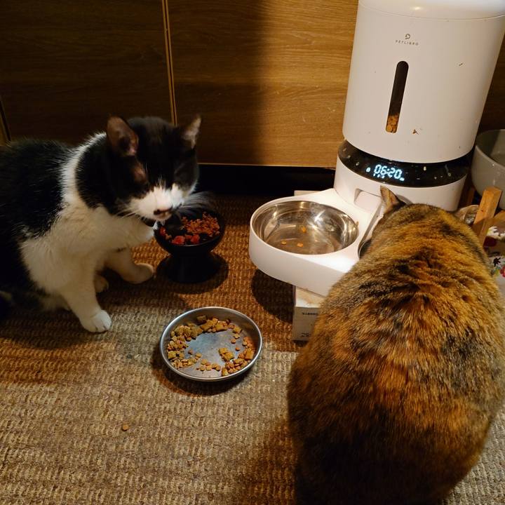 C7d7dca8 16c7 4fb7 8e40 45ec833917ec 1762770045549