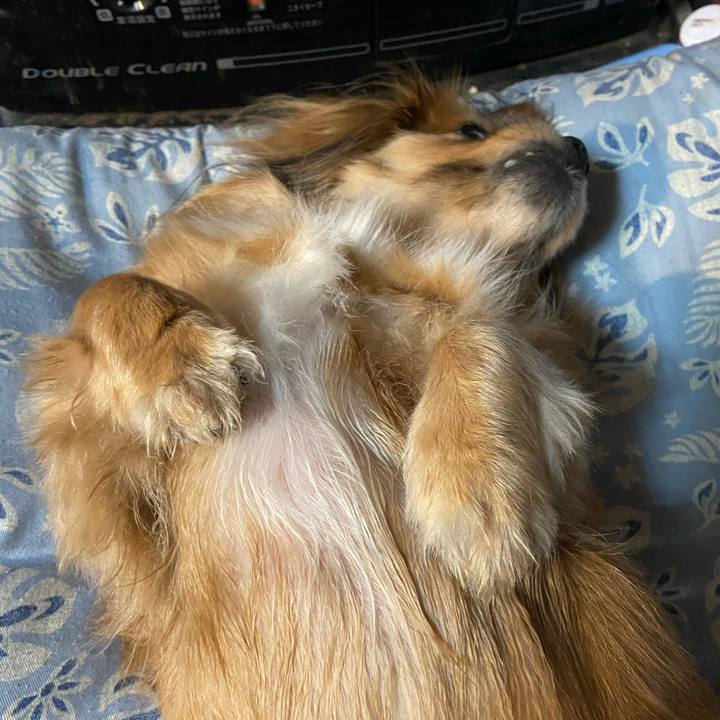 C7d81a58 8050 4f07 adef b9b82be581c3 1613339119869