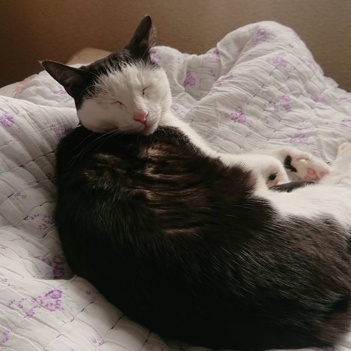 C7d8566e e57f 4753 a80a 9574dfa42f17 1515975922019