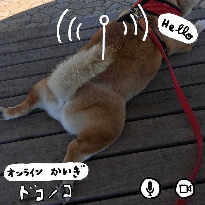 C7d88996 2fbe 4504 a2a7 65131cede972 1590739268028