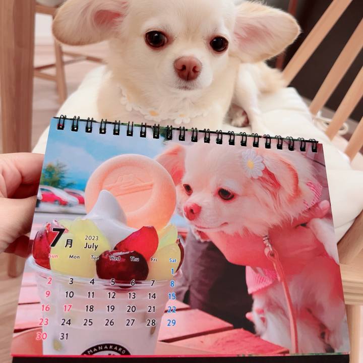 C7d88ba2 d024 4f2b af93 968d714708a8 1688215541962