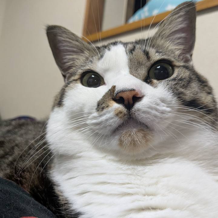 C7d88d25 2200 4dcd b23a dd0b714ff2c6 1763858854300