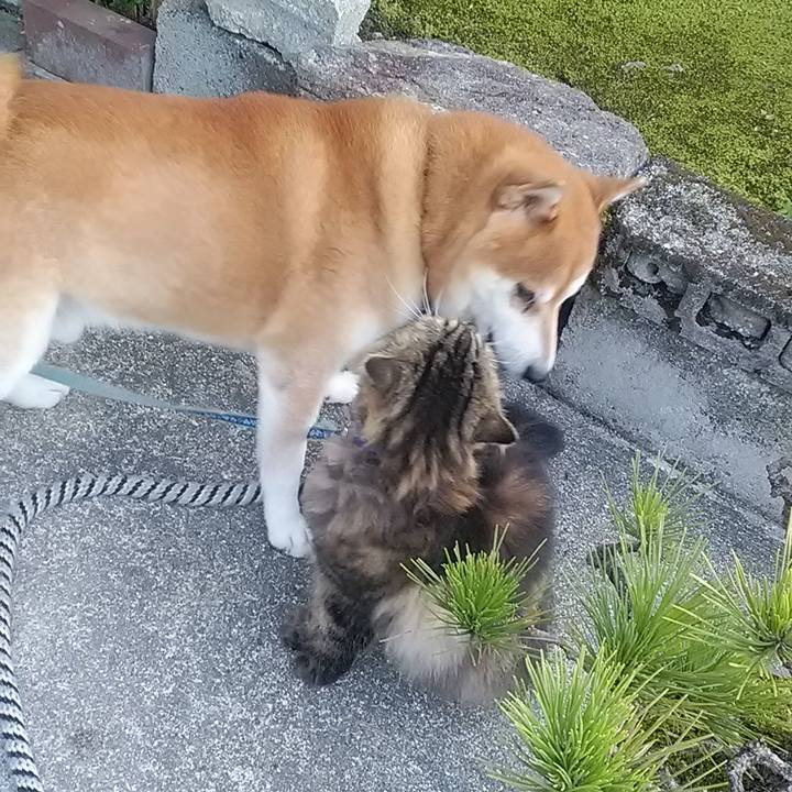 C7d896b8 7c65 4ab4 aae8 6fe0e88decb1 1664150153786