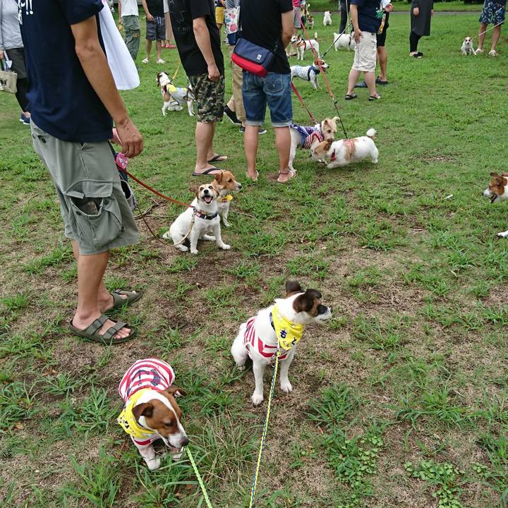 C7d89866 dd1a 4a73 9bbc 4a85c335bdfe 1567312278321