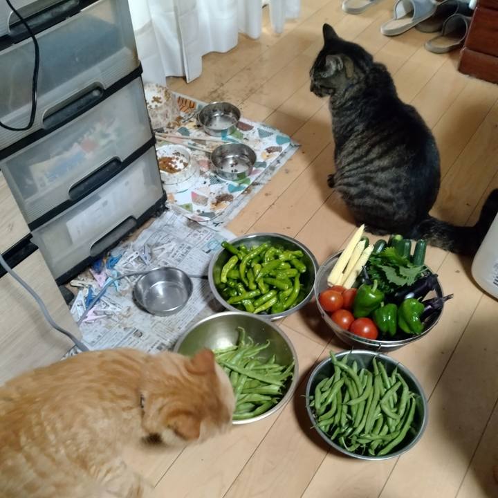 C7d8b465 12ff 4af9 ab40 ec020ad6aa4d 1689891212230