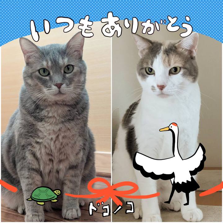 C7d8bfca c753 44d9 a37d 8ac46c8dd349 1727160916221