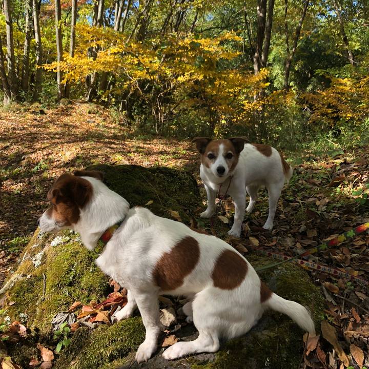 C7d90c5e 00a0 462a b9a6 6dfbba31d749 1540906352790