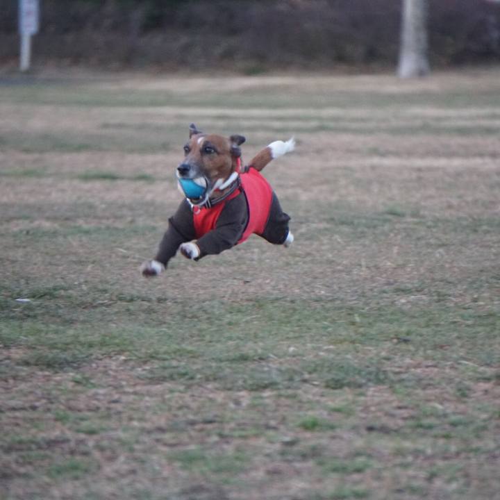 C7d91804 21ad 429a 9dcf f8c58fe80a2f 1548975337208