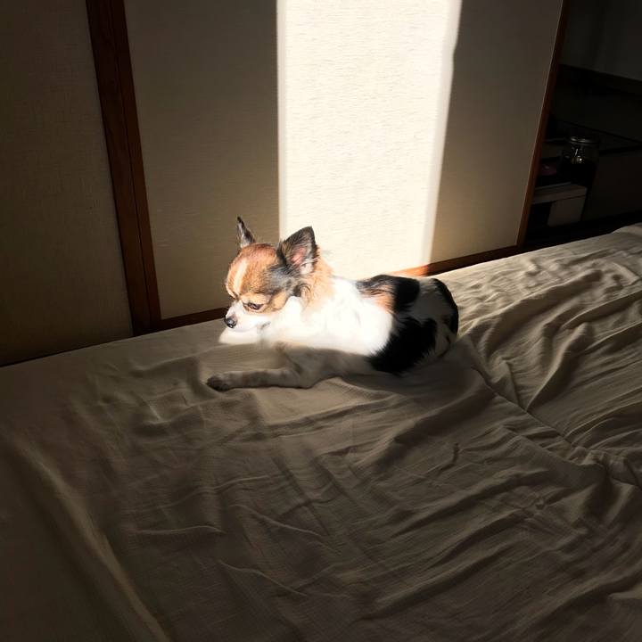 C7d91a70 1a42 4eac 914f 76edd78656cb 1512654720092