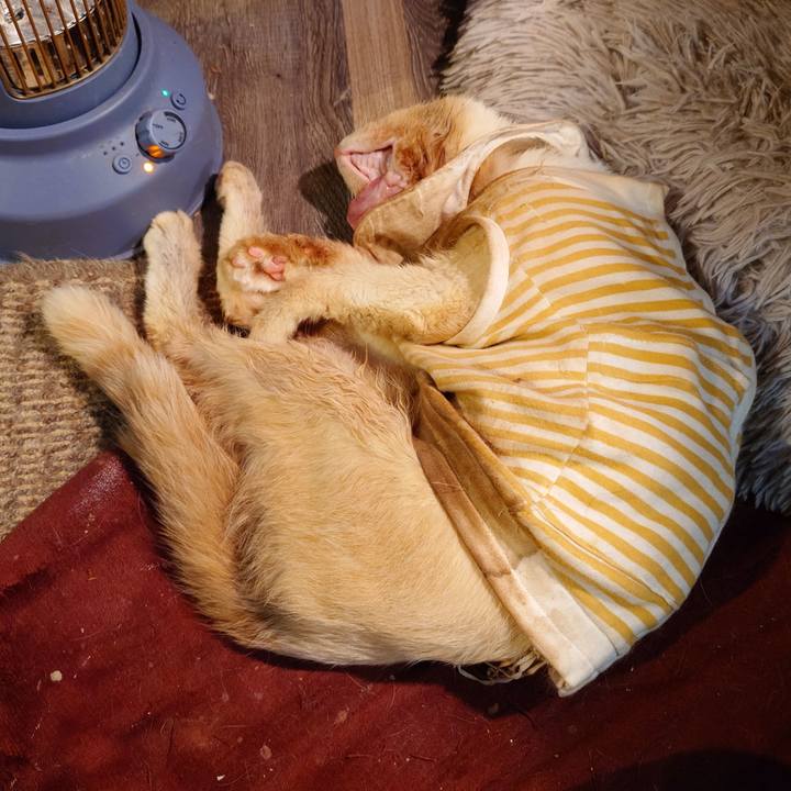 C7d951d1 e3f4 4a54 8161 341a9deec122 1762510566561