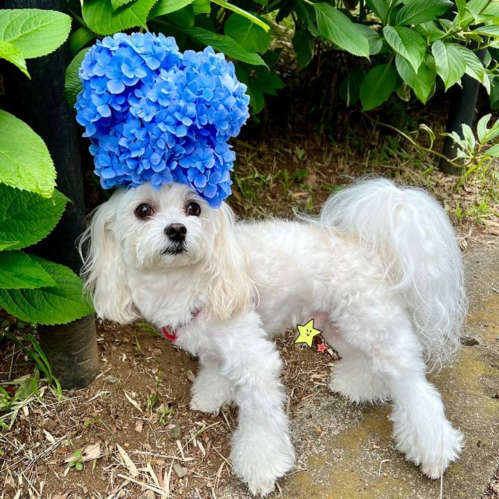 C7d97eef ff5a 4eac 8401 1fbe54a2cb83 1655265412158