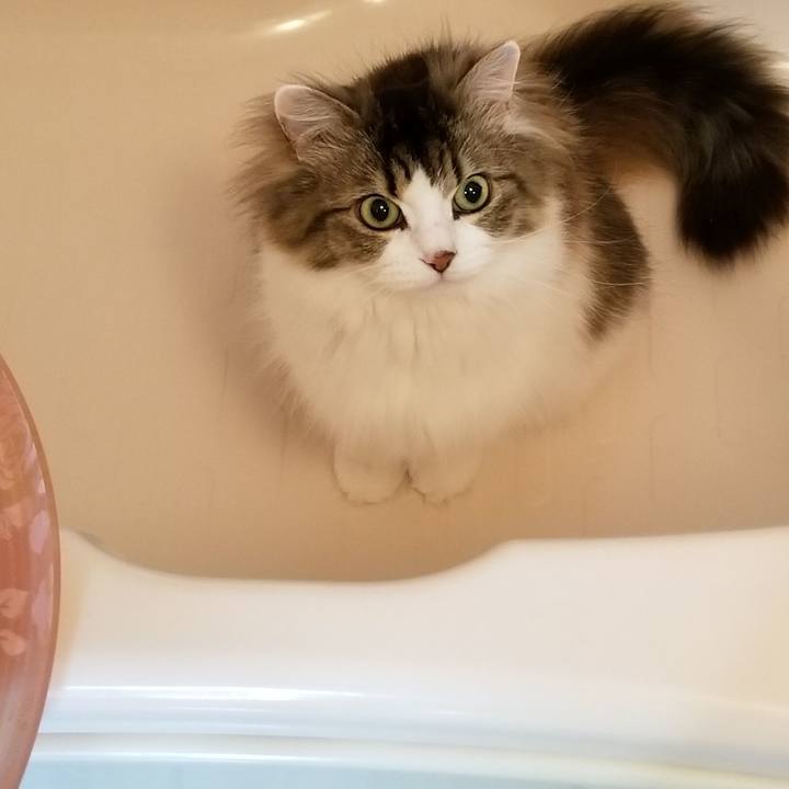 C7d98d70 d98e 47a9 8a90 410728654e75 1590106485424