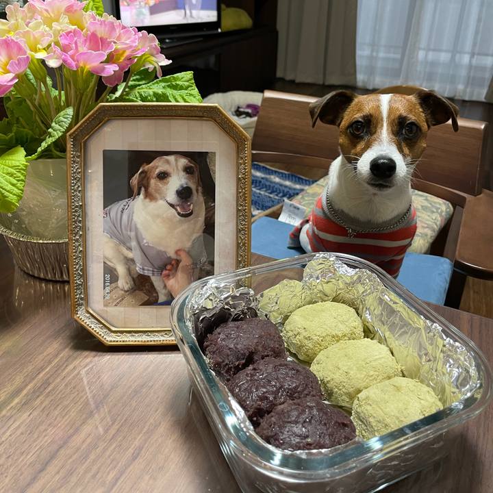 C7d9a3c1 e005 4d72 afcc 249abb35f5f7 1647593532105