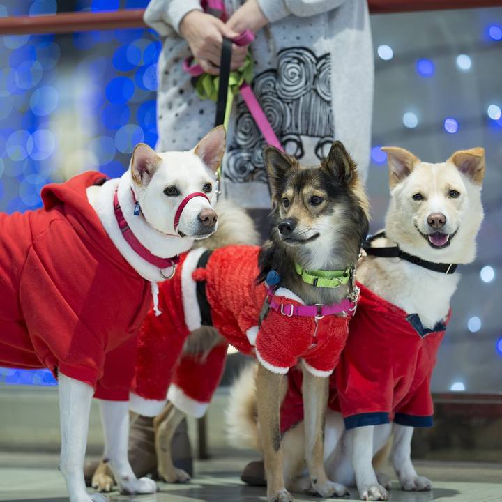 C7d9bbe5 e493 40f9 bf6e e6b6326b9aaf 1541300006842