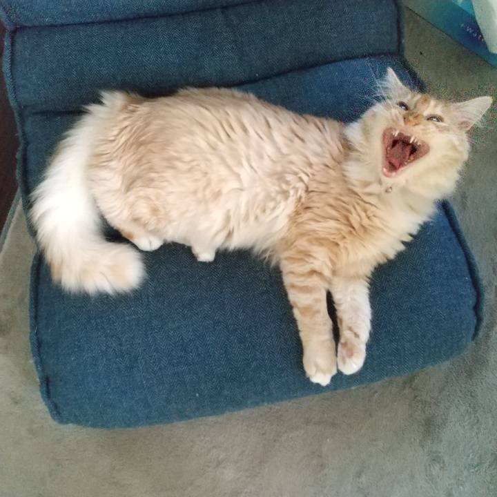 C7d9d075 e9d5 4aa6 ae89 0b7c21d777ec 1623226600830