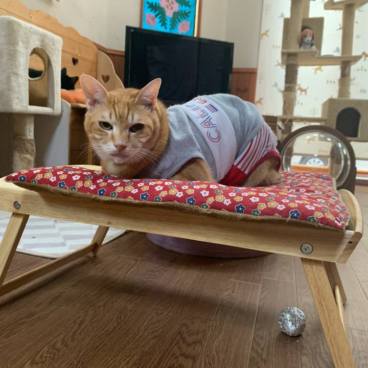 C7da2001 5d55 446f 9f39 0a814698c7d7 1619302132148