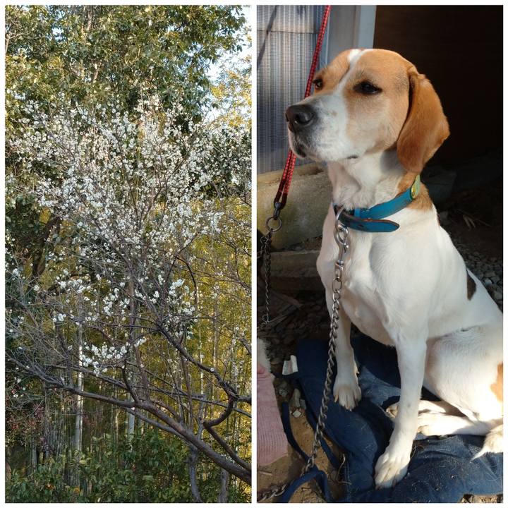 C7da2ca4 b85a 4597 b661 67c367cc840a 1613804824692