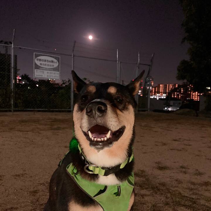 C7da4ecb 375c 4736 ba0e 738894535086 1601649609510