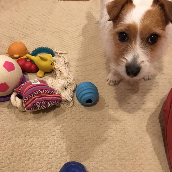 C7dae090 02bf 42de 97eb aae546f4d91c 1523282267758