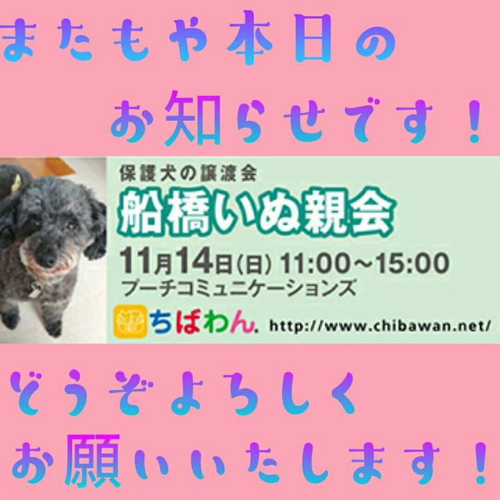 C7db08d3 241c 41ea bb5e d9e45d9f705d 1636843090781