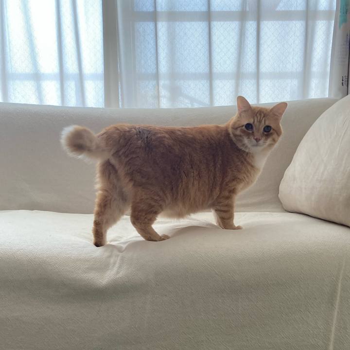 C7db6f90 af7a 4efd b954 42db7b44f85a 1772661615849