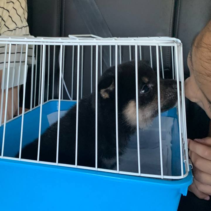 C7db77ed 8bbb 4950 a326 dd6bf2abfc84 1598199934128