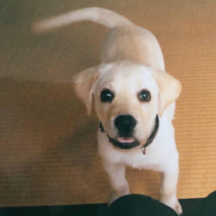 C7db8a4f 4250 4b54 ae82 ec577cd53b30 1573443880508