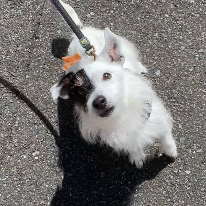 C7db8d1c c53b 490d 827f eb3e710417bc 1745971563438