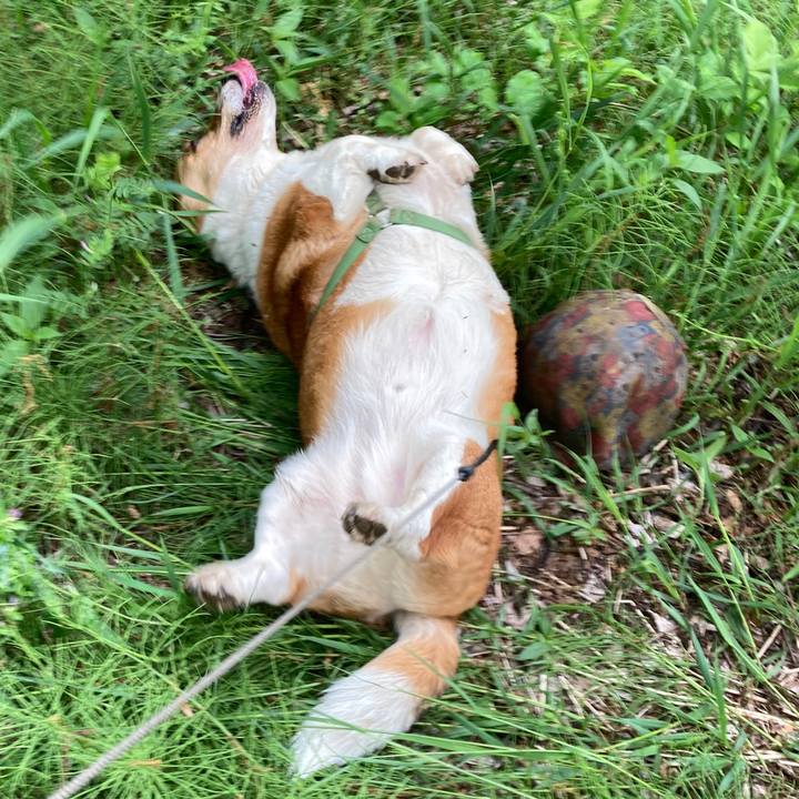 C7db9dd5 d3cd 4cdd ba23 0d2affb4b794 1746071244880