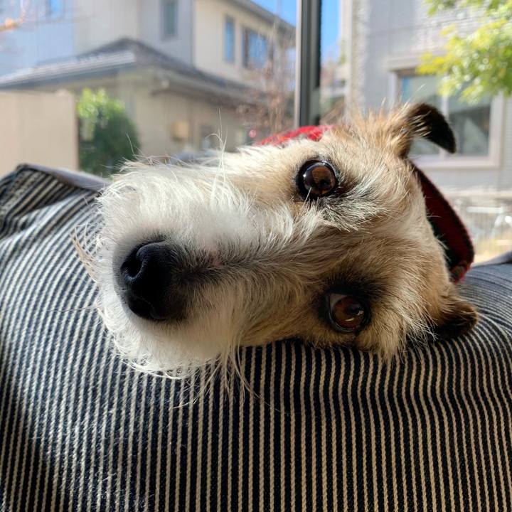 C7dbd2f6 f569 4004 9598 623f20fdef99 1677327599448