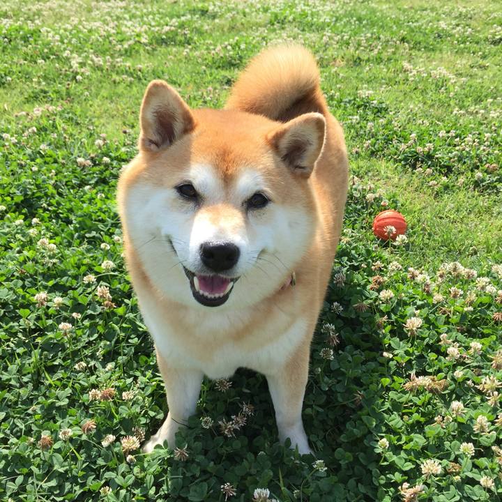 C7dbe14e 1461 4ce2 b33a a4450b85ef05 1560002993555