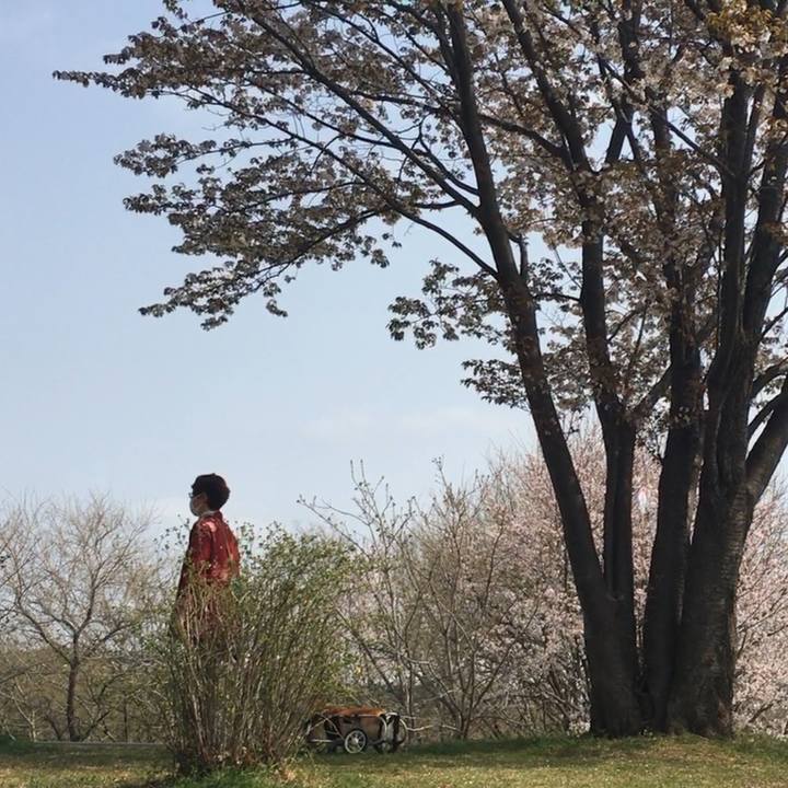 C7dbe71a c4cf 4d28 a3e5 4998e502948a 1584845882182