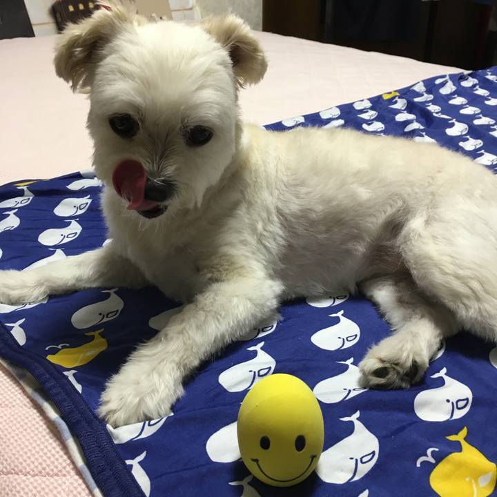 C7dc3aca b492 4a6c 80bf 143d9bfd7e2b 1531569821308