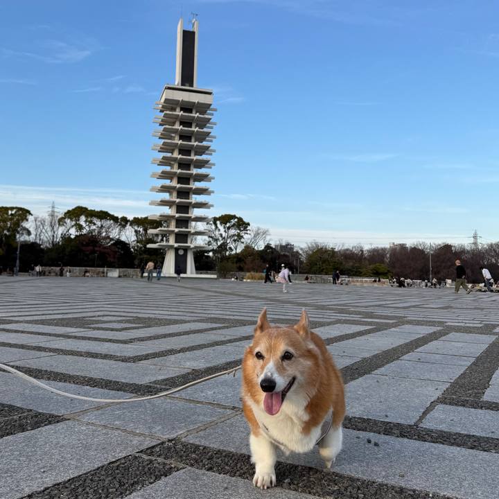 C7dc6fe9 1408 463e a283 767eb4ca13fe 1767167749478