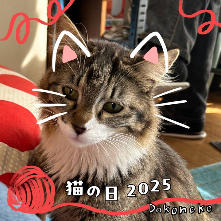 C7dc7f54 758f 446f ac76 19dc106410b0 1740197993282