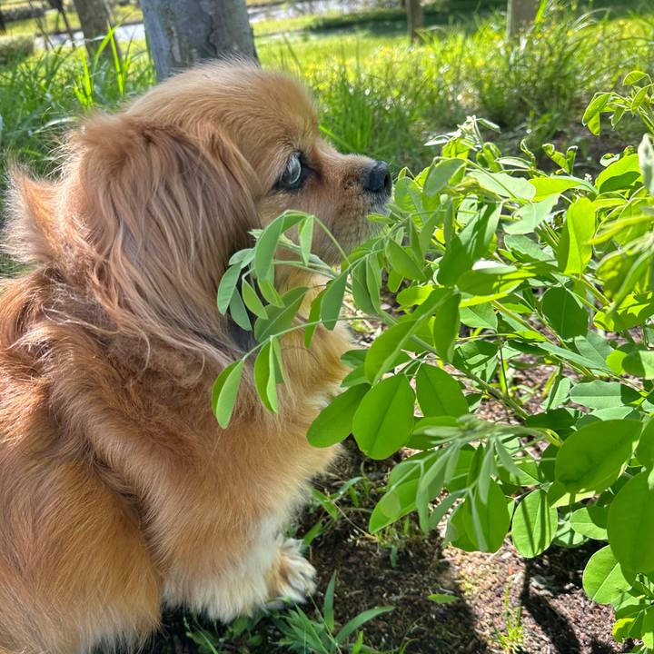 C7dd181b fbb4 47bb 8f0e 6e2e41e384a8 1681606061450