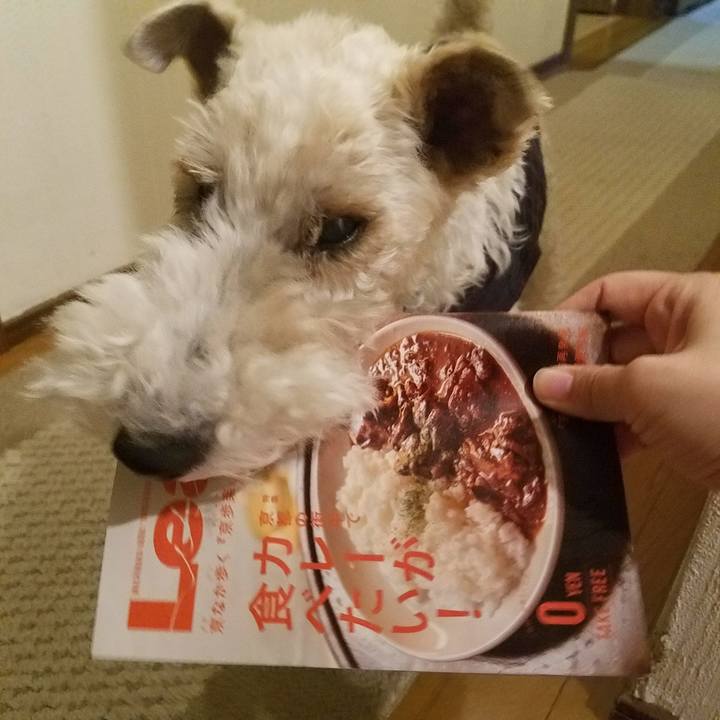 C7dd3050 f7c7 49b5 99bf 5bbc722a81d2 1557319965778