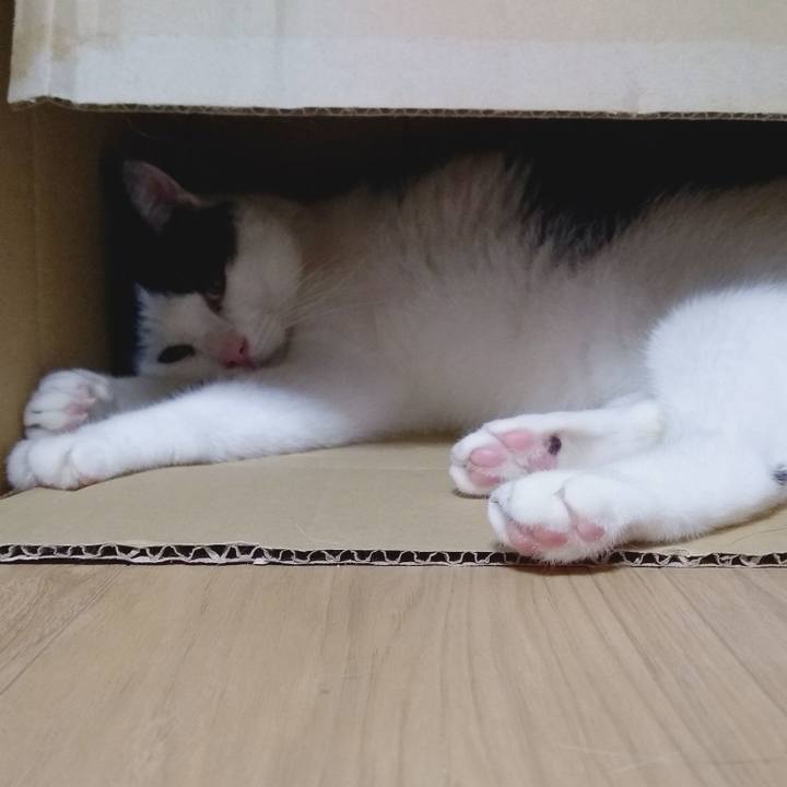 C7dd33a4 0b87 4511 8b6e 7dbcbe64e65d 1566906210122