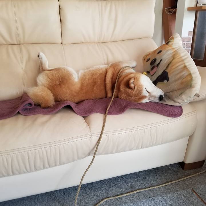 C7dda874 d4e7 4114 ac34 1515edcdbba4 1623804870677