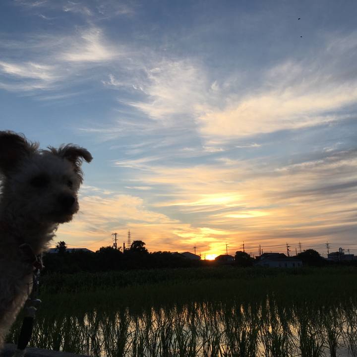 C7dded9d 6f93 479b b9bb 6db7af8d3e68 1528920719478