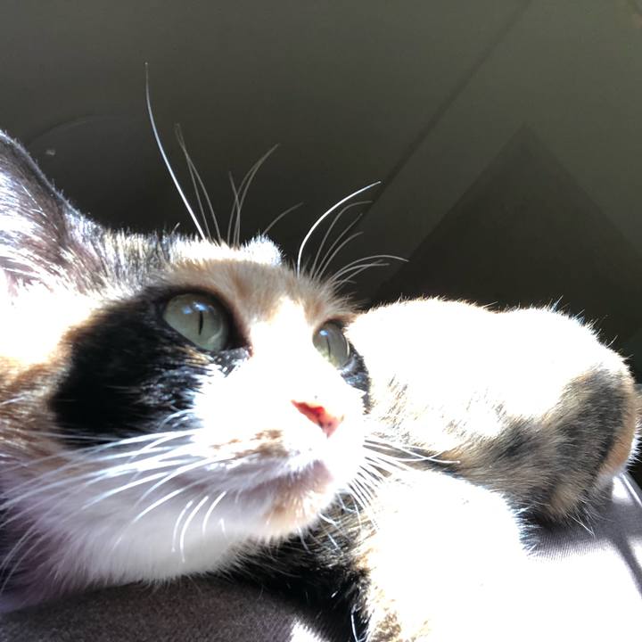 C7de2432 8b44 462a 8858 79697b0beaed 1573273391137