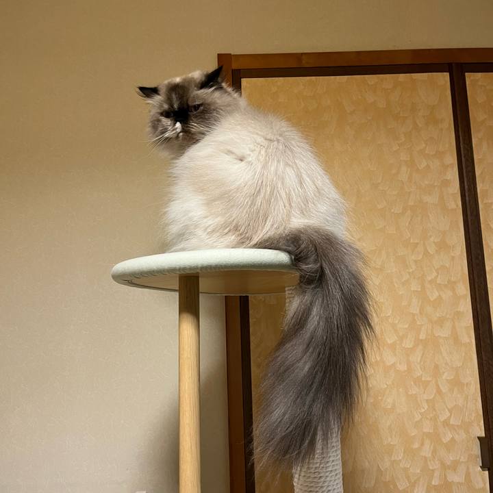 C7de3a40 52f8 45ef 95f2 6562b9b880df 1761045007025